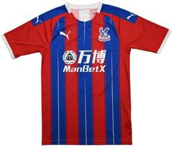 2019-20 CRYSTAL PALACE #15 SHIRT S