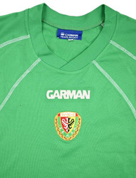 2008-09 SLASK WROCLAW SHIRT L