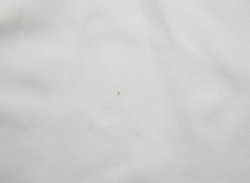 2010-11 GERMANY KOSZULKA M