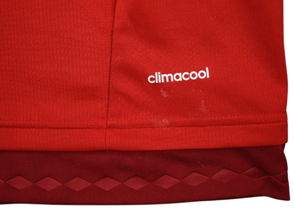 2015-16 BAYERN MUNCHEN *BOATENG* KOSZULKA L