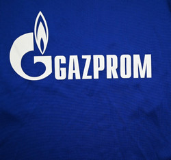 2019-20 SCHALKE *BURGSTALLER* KOSZULKA S. BOYS