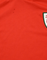 2020-21 WALES SHIRT L