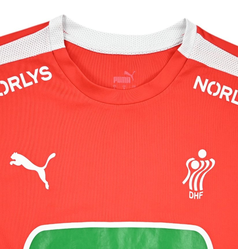 DENMARK DHF HANDBALL SHIRT S