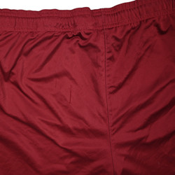 DYNAMO DRESDEN SHORTS L