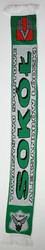 TOWARZYSTKO SPORTOWE SOKÓL ALEKSANDRÓW ŁÓDZKI  SCARF