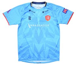 ESSEX COUNTY *ALLISON* CRICKET SHIRT L