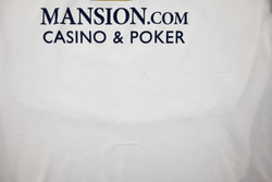 2008-09 TOTTENHAM HOTSPUR KOSZULKA 2XL