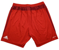 BAYERN MUNCHEN SHORTS M