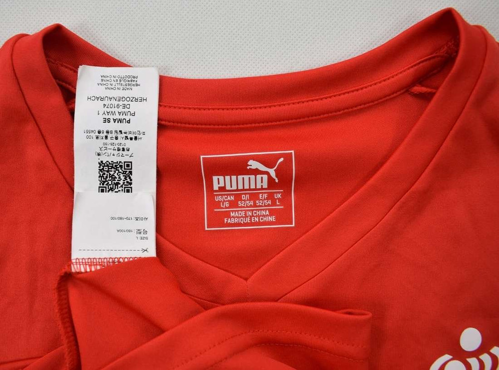 DENMARK DHF HANDBALL SHIRT L