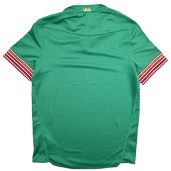 BRITISH AND IRISH LIONS RUGBY SHIRT S