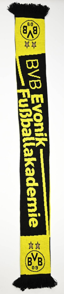 BORUSSIA DORTMUND EVONIK FUSSBALLAKADEMIE SZALIK