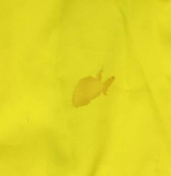 2002-04 BRAZIL KOSZULKA M