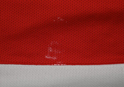 DETROIT RED WINGS *HASEK* HOCKEY KOSZULKA L