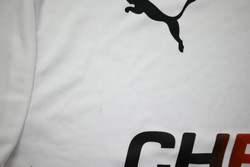 2024-25 GERMANY SHIRT L