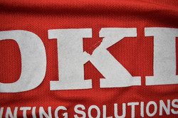 2005-06 PORTSMOUTH LONGSLEEVE KOSZULKA roz.L