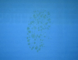 HULL FC RUGBY KOSZULKA XL