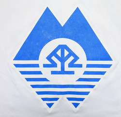 2015 MOLDE FK #22 SHIRT S