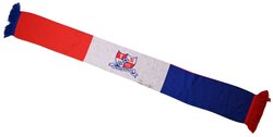 PODBESKIDZIE BIELSKO-BIALA SCARF