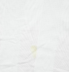 2016-17 GERMANY SHIRT L