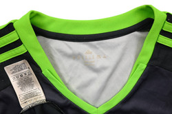 2016-17 WALES KOSZULKA XL