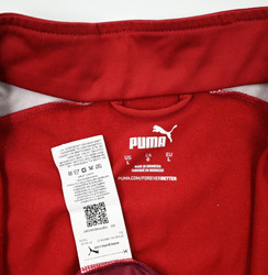 CRYSTAL PALACE FC BLUZA L