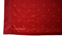 2020-22 AUSTRIA SHIRT S