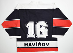 HAVIROV PANTHERS HOCKEY SHIRT  L