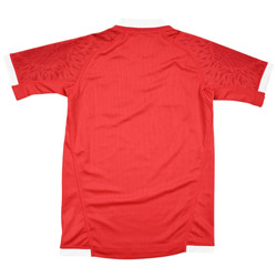 BRITISH AND IRISH LIONS RUGBY SHIRT L. BOYS