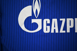 2014-16 SCHALKE 04 SHIRT L