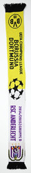 BORUSSIA DORTMUND/ RSC ANDERLECHT UEFA CHAMPIONS LEAGUE 2014/15 SCRAF