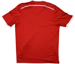 2013-14 WALES KOSZULKA L