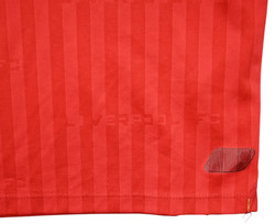 2015-16 LIVERPOOL *COUTINHO* LONGLSEEVE KOSZULKA L. BOYS