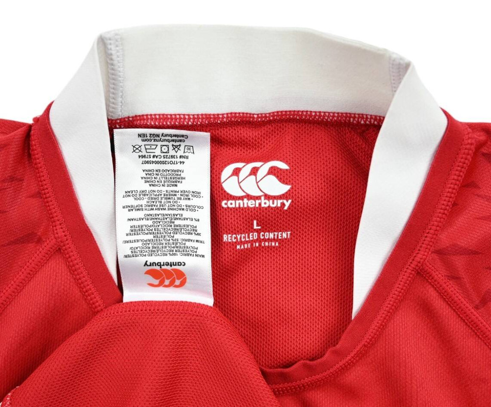 BRITISH AND IRISH LIONS RUGBY SHIRT L