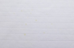 2018-19 ENGLAND SHIRT S