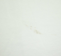 SOUTH AFRICA RUGBY SHIRT L