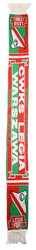 CWKS LEGIA WARSZAWA DUMA STOLICY SZALIK