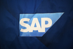 2015-16 HOFFENHEIM *OCHS* KOSZULKA L