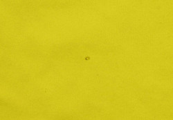 2003-04 BORUSSIA DORTMUND *DEDE* SHIRT XL