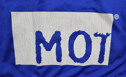 2009-10 MOLDE FK LONGSLEEVE M