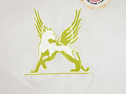 2008 RUBIN KAZAN *VASILYEV* PLAYER ISSUE SHIRT L