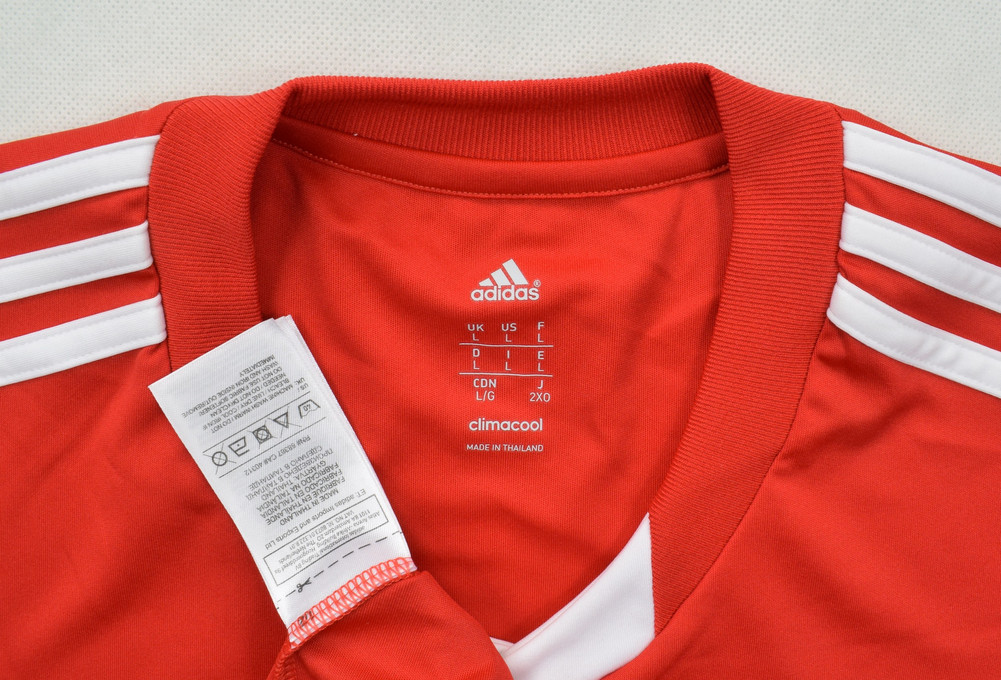 2013-14 SOUTHAMPTON FC SHIRT L