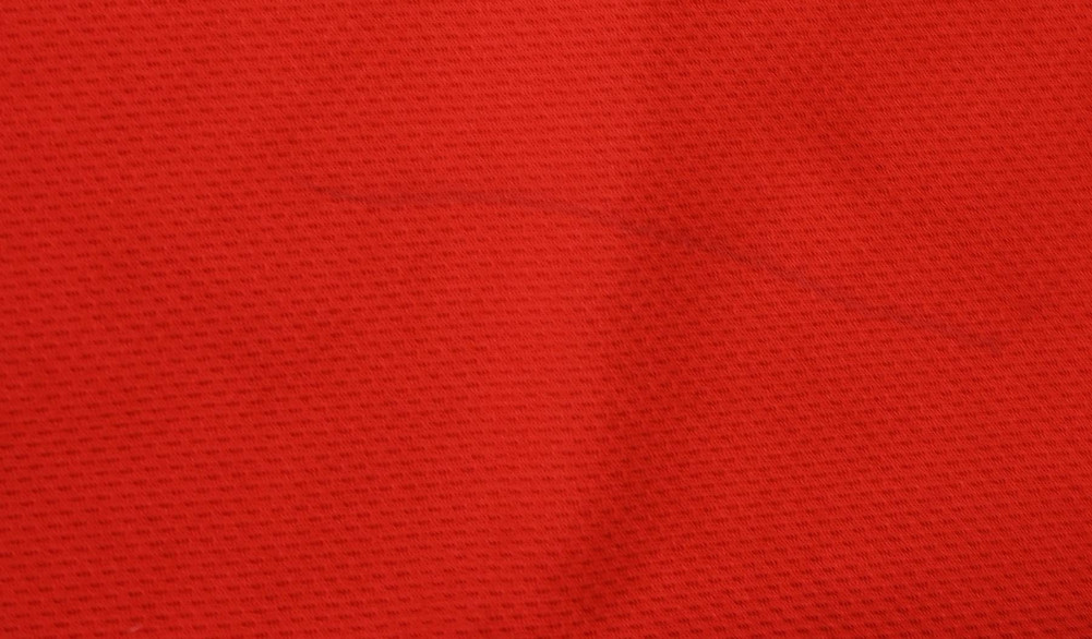 2008-09 CZECH REPUBLIC *NEDVED* KOSZULKA L