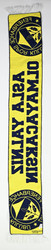 FENERBAHCE SCARF