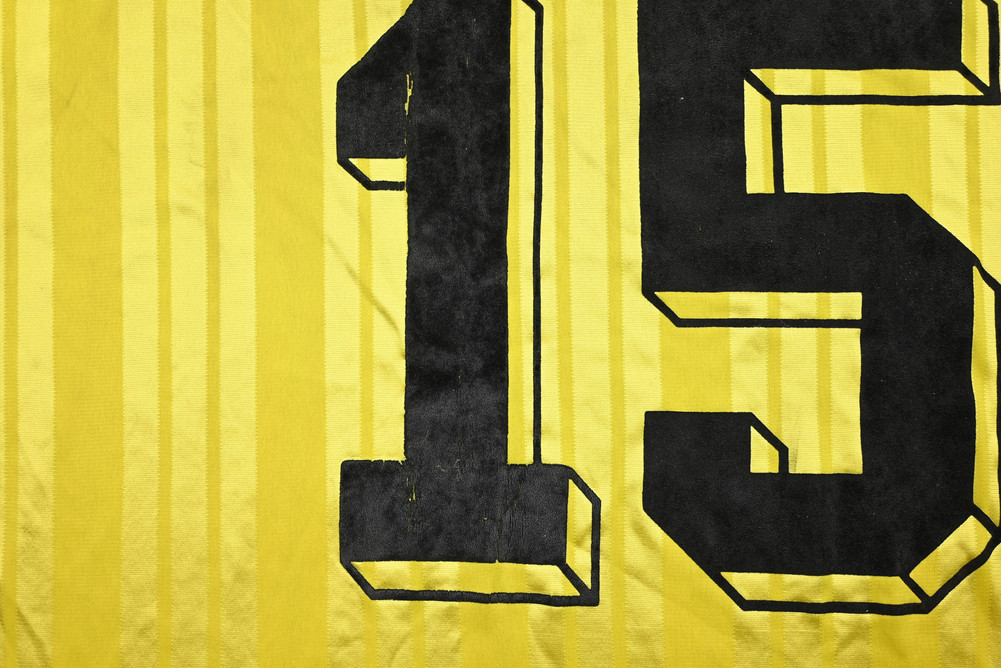 SV 06 LEHRTE KOSZULKA XL