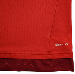 2015-16 BAYERN MUNCHEN KOSZULKA M. BOYS