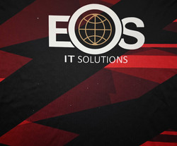 DOWN GAA GAELIC SHIRT L 