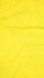 2020-21 BORUSSIA DORTMUND KOSZULKA L