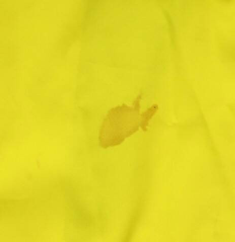 2002-04 BRAZIL SHIRT M