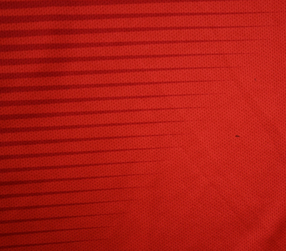 2018-19 POLAND *BOCHNIEWICZ* SHIRT L