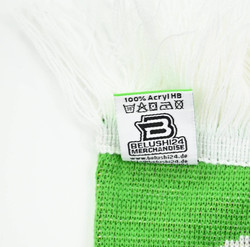 VFL WOLFSBURG DER WEG DER WOLFE NACH BERLIN SZALIK